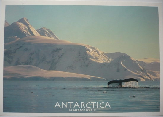 Antarctica