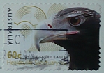 stamp