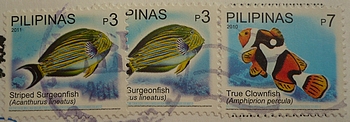 stamp