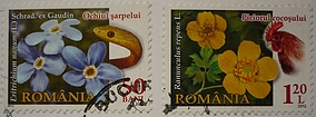 stamp