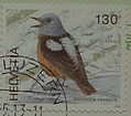 stamp