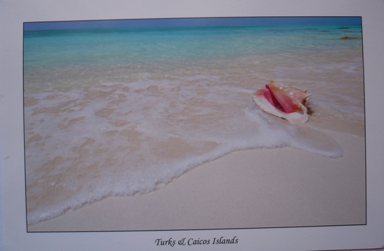 Turks and Caicos Islands